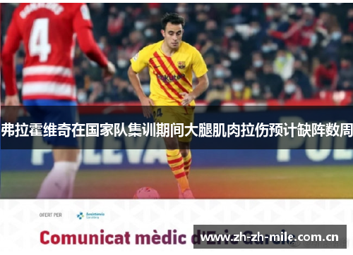 弗拉霍维奇在国家队集训期间大腿肌肉拉伤预计缺阵数周 弗拉霍维奇在国家队集训期间大腿肌肉拉伤预计缺阵数周